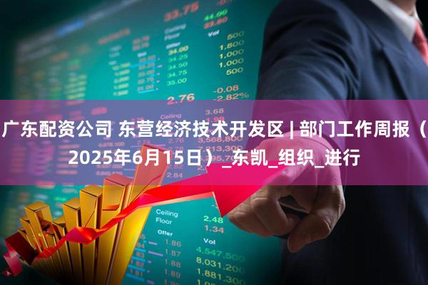 广东配资公司 东营经济技术开发区 | 部门工作周报（2025年6月15日）_东凯_组织_进行