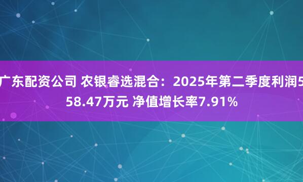 广东配资公司 农银睿选混合：2025年第二季度利润558.47万元 净值增长率7.91%