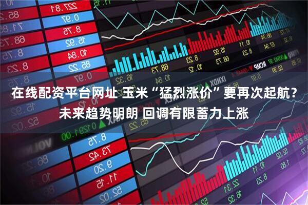 在线配资平台网址 玉米“猛烈涨价”要再次起航？未来趋势明朗 回调有限蓄力上涨